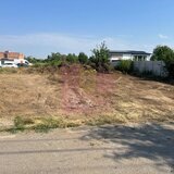 Teren Clinceni- Putul Olteni- Crizantemelor