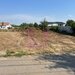 Teren Clinceni- Putul Olteni- Crizantemelor.